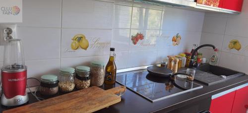 Cluj-Napoca Apartment | Cozy Oasis Cluj Napoca
