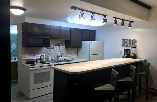 Steamboat Springs Condo | Cozy one bedroom near the ski area