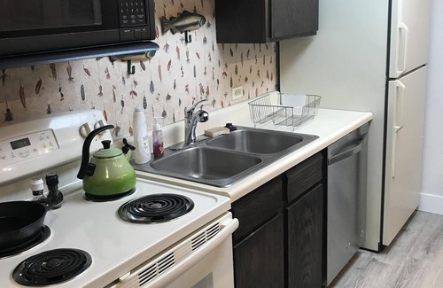 Steamboat Springs Condo | Cozy one bedroom near the ski area