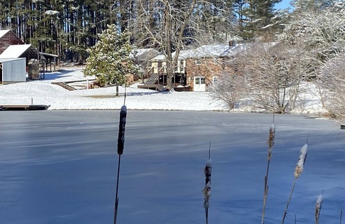 Huddleston House | Cozy one bedroom home on 50 private acres with a 4 acre, stocked pond.