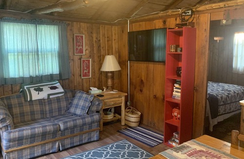 Port Hope Cabin | Cozy One-bedroom Lakeside Cabin with all modern amenities