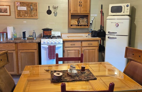 Duluth Cabin | Cozy one room cabin and outhouse tucked in the woods with your own private site.