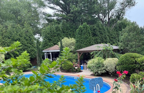Annandale Cottage | Cozy paradise, full privacy, pool, gorgeous back yard, free parking!