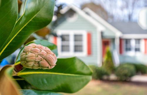 Raleigh House | Cozy Pet-friendly home in Five Points Raleigh