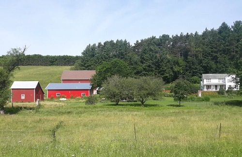 Elroy Cabin | Cozy Pioneer's Cabin on a Peaceful Family Farm