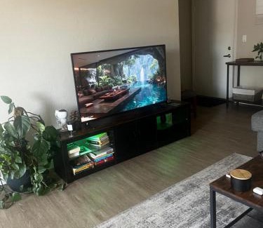Mountain View Apartment | Cozy place in Mountain View!