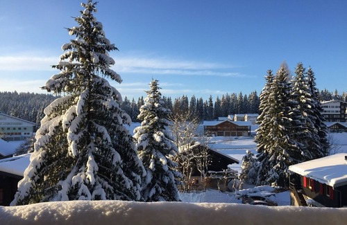 Premanon Ski Chalet | COZY RENOVATED CHALET AND COMFORTABLE FROM 4 TO 10 PEOPLE