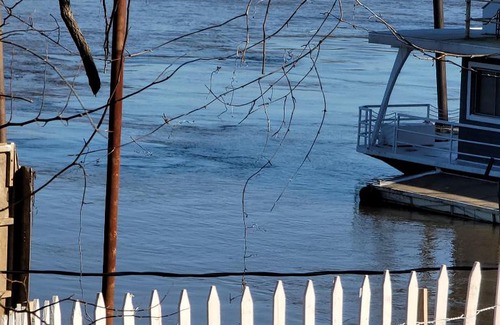 West Monroe Cabin | Cozy School Bus on the Ouachita River! Pet friendly!
