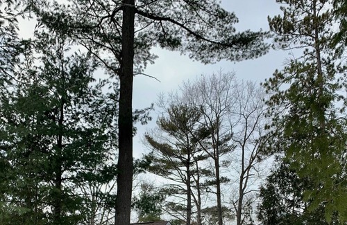 Lambton Shores Cottage | Cozy secluded cottage near the Pinery