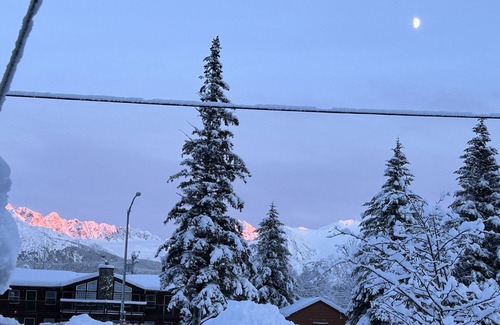 Seward Cottage | Cozy Seward Cottage: Amazing Location in the middle of town. Pet-Friendly!