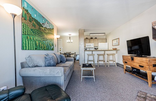 Steamboat Springs Condo | Cozy, Ski-In Condo w/Hot Tubs and Mountain Views!