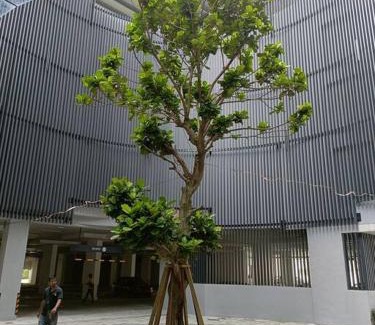 Bukit Indah Apartment | Cozy Sky Trees with Balcony, Smart TV , Aeon & Pool