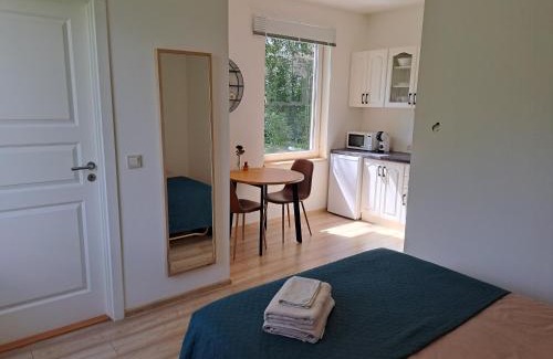 Aluksne Apartment | Cozy Studio - 5 min to Lake & City