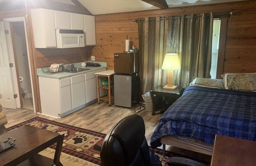 Tallahassee Apartment | Cozy Studio apartment with cabin feel