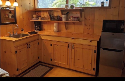 Ashford Cabin | Cozy studio cabin, nestled in the trees, under a mile to Mt. Rainier entrance.