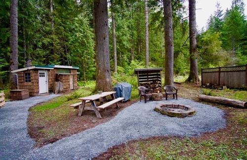 Ashford Cabin | Cozy studio cabin, nestled in the trees, under a mile to Mt. Rainier entrance.