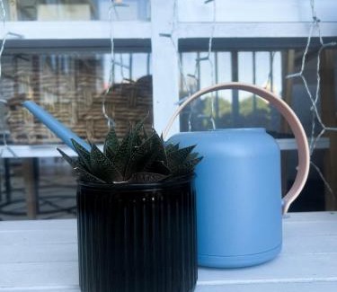 Glebe Apartment | Cozy Studio in Central Glebe