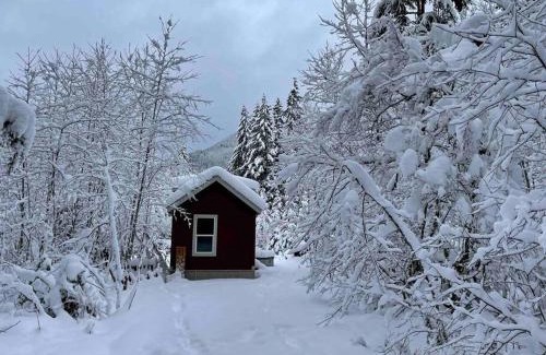 Ashford House | Cozy Tiny Home Steps Away From Mt. Rainier