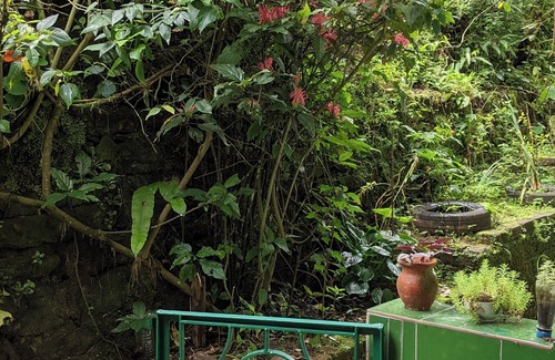 Mirik House | Cozy two-room private studio in Mirik