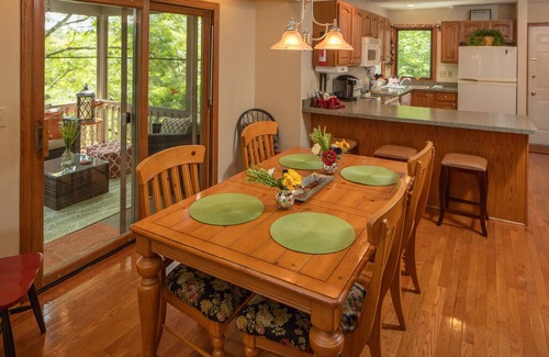 The Galena Territory House | Cozy up in the BIRDS NEST ~ Outdoor Hot Tub, Fire Pit, Screen Porch, Grill!