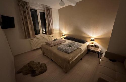 Villingen-Schwenningen Apartment | Cozy Vacations Home in the Black Forest