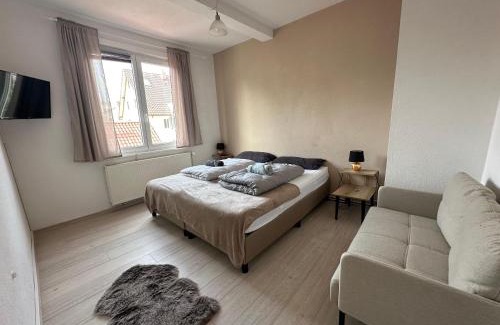 Villingen-Schwenningen Apartment | Cozy Vacations Home in the Black Forest