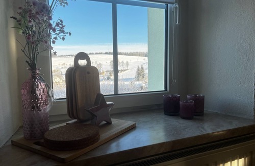 Carlsfeld Apartment | Cozy vacation apartment with fireplace on the ski slope! Children & pets welcome!