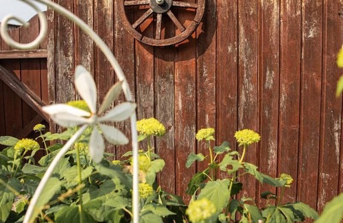 Lindbergmuhle Apartment | Cozy vacation home (52sqm) with terrace and space for 4 people