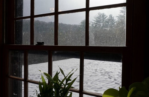 East Randolph Cabin | Cozy Vermont Log Cabin . Wilderness,Pet Friendly!