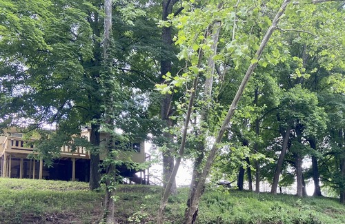Capon Bridge Cabin | Cozy Waterfront Cabin With Hot Tub and Mountain Views