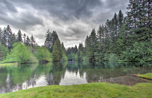 Paradise Estates Cabin | Cozy Waterside Chalet By Mt Rainier National Park!