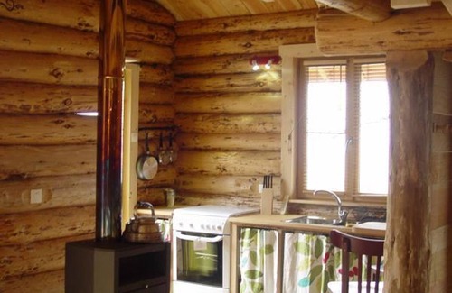 Saint-Martin-la-Sauvete Cottage | Cozy wooden chalet with terrace, internet, and pets allowed