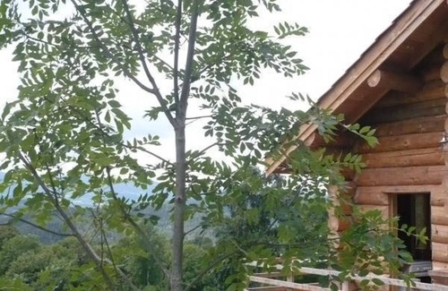 Saint-Martin-la-Sauvete Cottage | Cozy wooden chalet with wood stove and internet in Saint-Martin-la-Sauveté