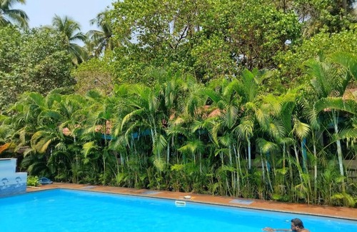 Arambol Cottage | Cozy wooden huts/cottages on edge of Arambol Beach