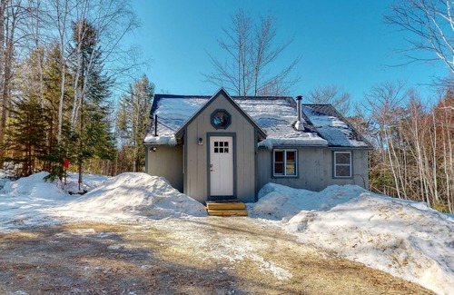 Greenville Cabin | Cozy woodsy Cabin w/a Deck, Firepit, Gas Grill, Free WiFi, & Full Kitchen
