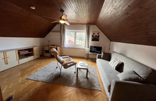 Zagreb Apartment | Cozzy apartment in nature