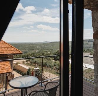 Moldova Hotel | Crama Mircesti