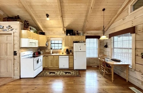Tellico Plains Cabin | Crazy Bear, Studio, King Bed, Kitchen, Hot Tub! by RedAwning