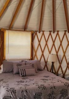 Kanab Other | Crazy Horse - APT 1