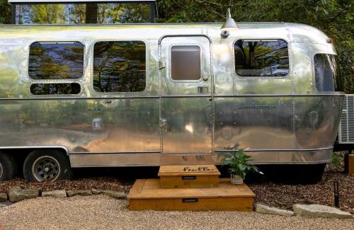 Pisgah Forest Villa | Creekside Fern