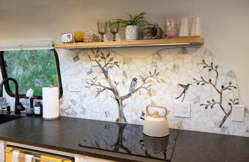 Pisgah Forest Villa | Creekside Fern
