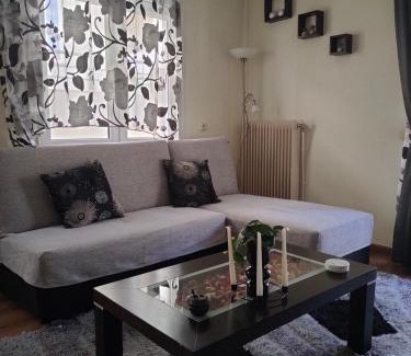 Kastoria Apartment | Crestio apartment Καστοριά