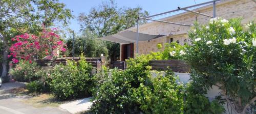 Drapanias House | Cretan cottage of 1900 with beautiful olive yard