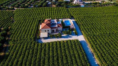 Malevizi Villa | Cretan Vineyard Hill Villa