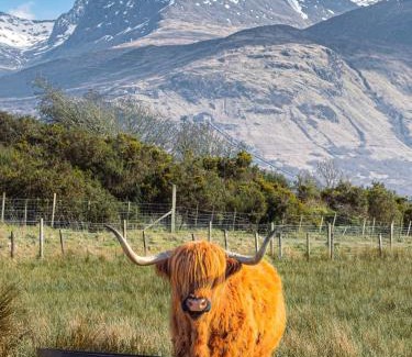 Banavie Apartment | Croft cabin