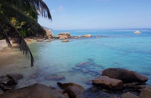 Glacis Apartment | Crystal Apartments Seychelles SeaView Upper Floor