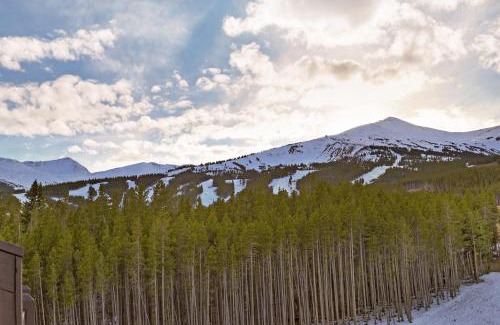 Breckenridge Cabin | Crystal Peak Lodge By Vail Resorts