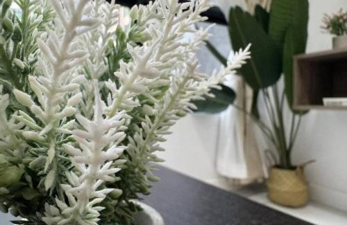 Kampung Pantai Dalam Apartment | Cubic Botanical ANCUBIC, Bangsar South, Midvalley