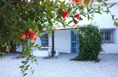 Freila House | Cueva Alfano