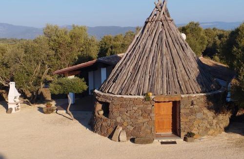 Dorgali Apartment | Cuile Casari